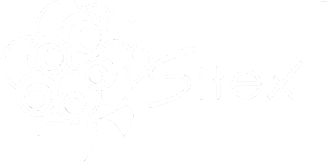 Sitex Tunisia Logo