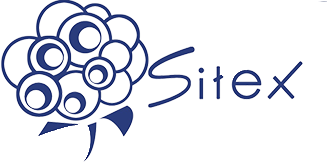 Sitex Tunisia Logo